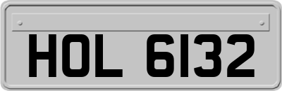 HOL6132