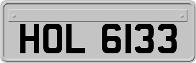 HOL6133