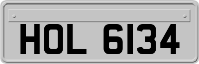 HOL6134