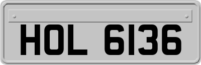 HOL6136