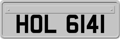 HOL6141