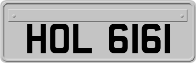 HOL6161