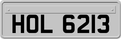 HOL6213