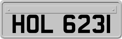 HOL6231