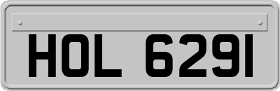 HOL6291