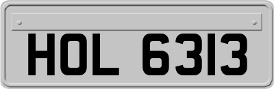 HOL6313