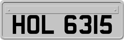 HOL6315