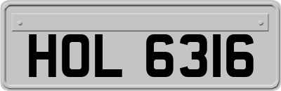 HOL6316