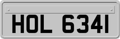 HOL6341