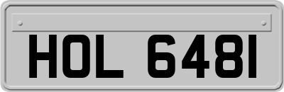 HOL6481