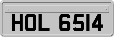 HOL6514