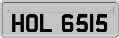 HOL6515