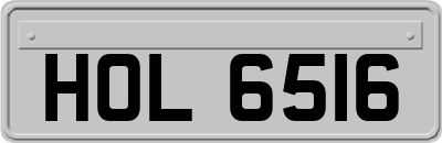 HOL6516