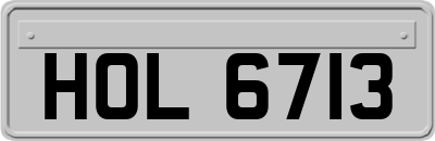 HOL6713