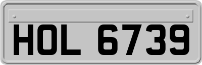 HOL6739