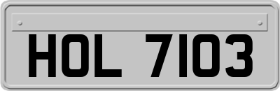 HOL7103