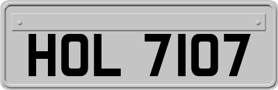 HOL7107