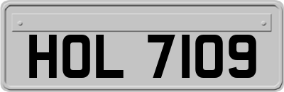 HOL7109