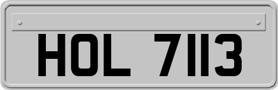 HOL7113