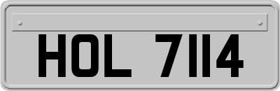 HOL7114