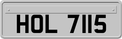 HOL7115