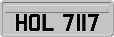 HOL7117