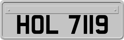 HOL7119