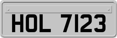 HOL7123