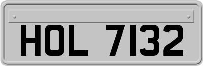 HOL7132