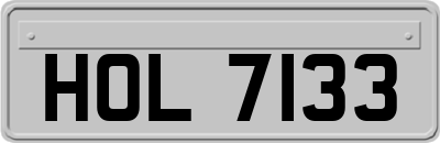 HOL7133