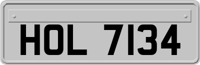 HOL7134