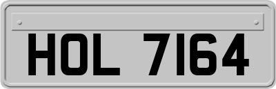 HOL7164