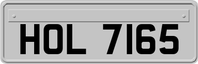 HOL7165