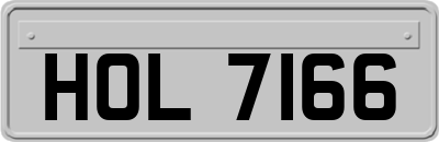 HOL7166