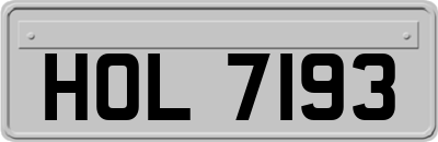 HOL7193