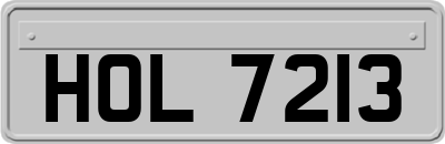 HOL7213