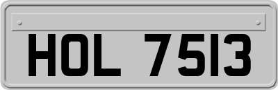 HOL7513