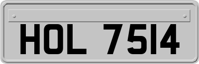 HOL7514