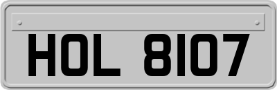 HOL8107