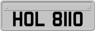 HOL8110