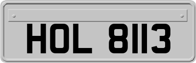 HOL8113