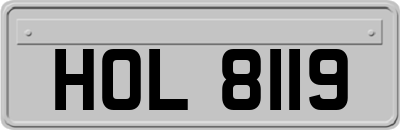 HOL8119