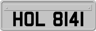 HOL8141