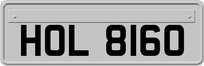 HOL8160