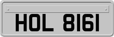 HOL8161