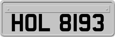 HOL8193