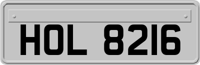 HOL8216