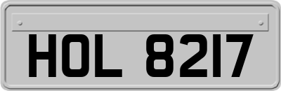 HOL8217