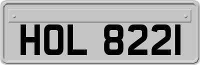 HOL8221