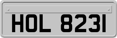 HOL8231